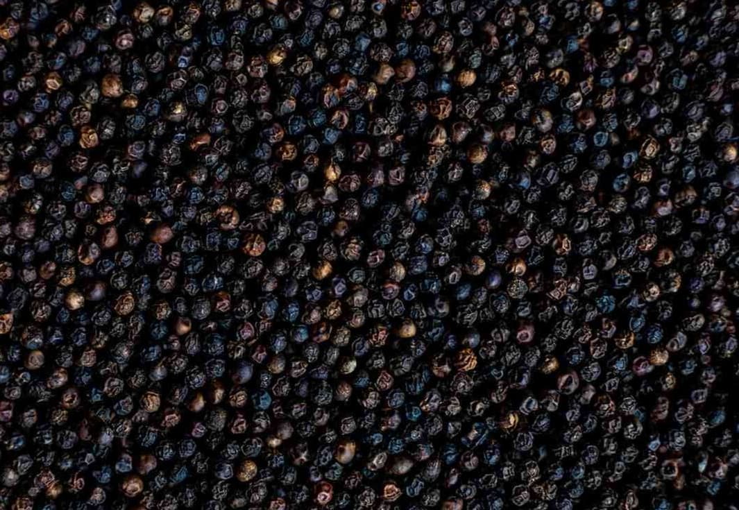 BLACK PEPPER