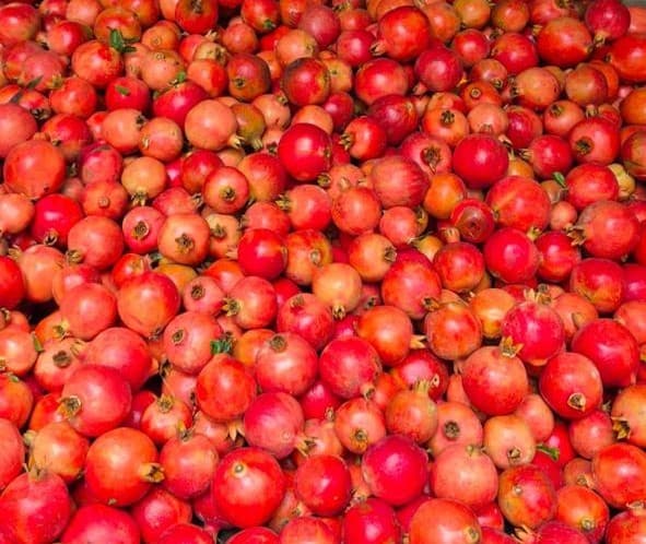 POMEGRANATE
