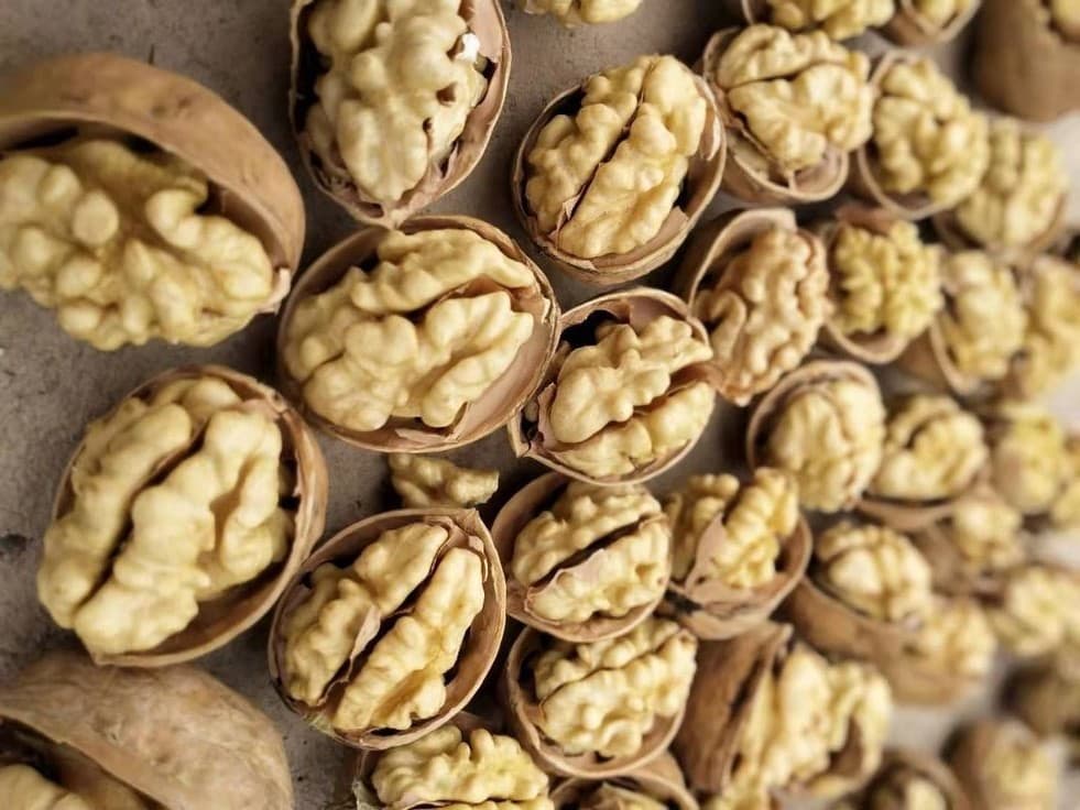WALNUTS