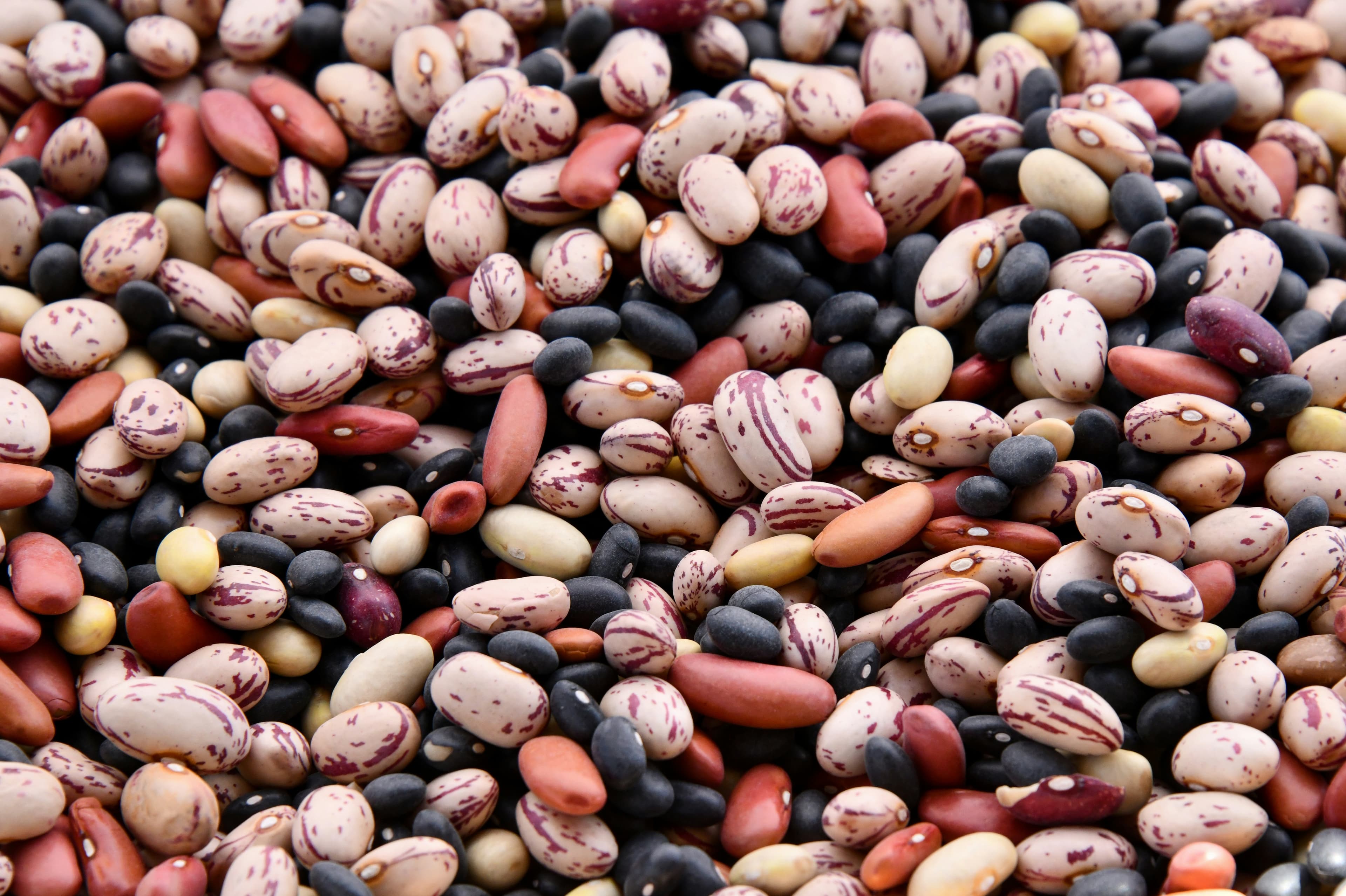BEANS (WHITE & RED)